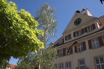Rathaus Waldhilsbach