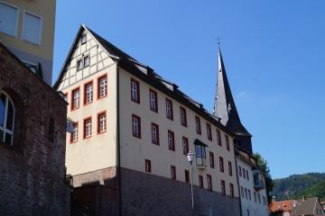 Der Trakt der Musikschule im "Prinz Carl" ist vom Neckarlauer aus zu sehen