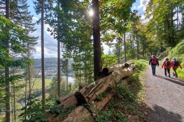 Wanderer auf dem Neckarsteig mit Blick ins Neckartal