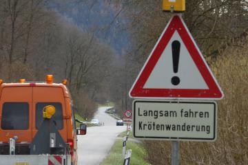 Hinweisschild Krötenwanderung am Straßenrand