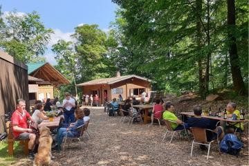 Die Neckarriefkopfhütte im Frühlingswald