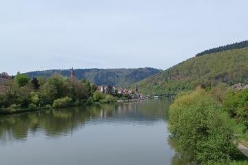 Blick von der Eisenbahnbrücke auf Neckar, Wald und Altstadt