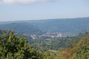 Blick von Dilsberg auf Wald und Mückenloch