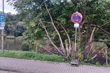Parkplatz Falltorstraße mit Beschilderung
