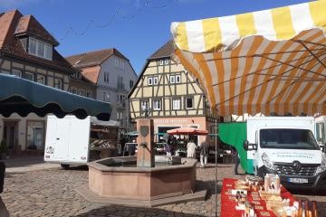 Wochenmarkt auf dem Marktplatz