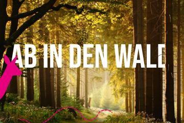 Waldmotiv mit Schriftzug "Ab in den Wald"