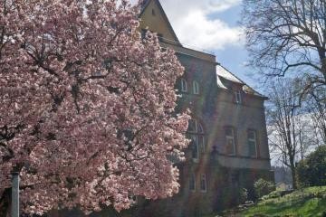 Villa Menzer mit Magnolie im Vordergrund