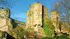 Citadel of Dilsberg