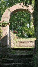 Chateau fort du reichenstein