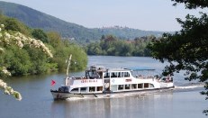 Ein kleines Ausflugsschiff in der Neckarschleife